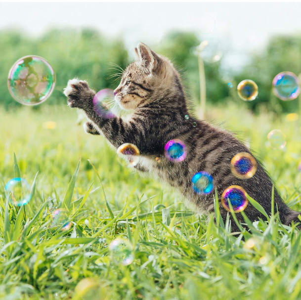 Machine à Bulles – Image 8