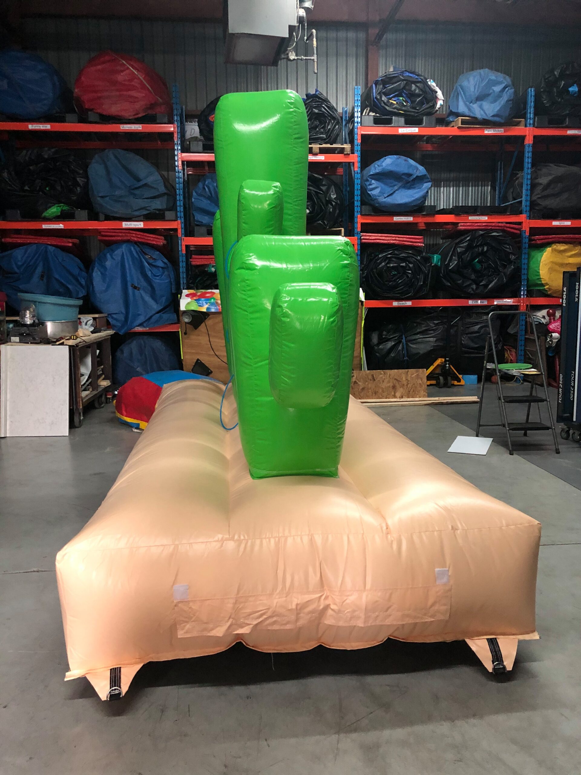 Anneaux du Désert – Image 2