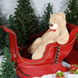 Traîneau du Père Noël